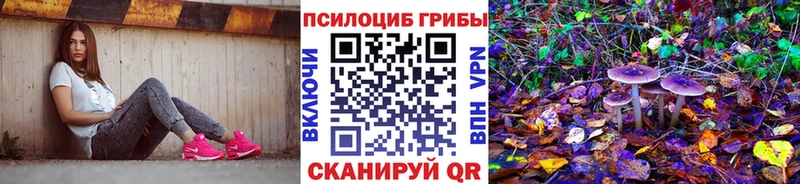 Галлюциногенные грибы Psilocybe  Купить закладки  Бирюсинск 