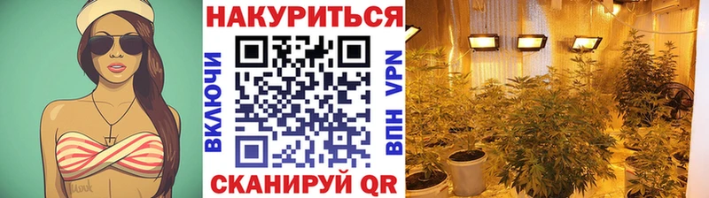 Купить где Бирюсинск Бошки марихуана Amnesia